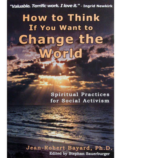 Book cover of How to Think If You Want to Change the World: Spiritual Practices for Social Activism