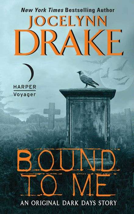 Book cover of Bound to Me