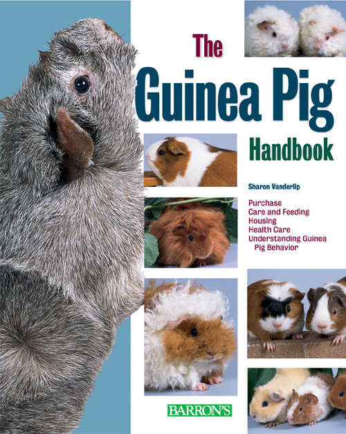 The Guinea Pig Handbook (B.E.S. Pet Handbooks)