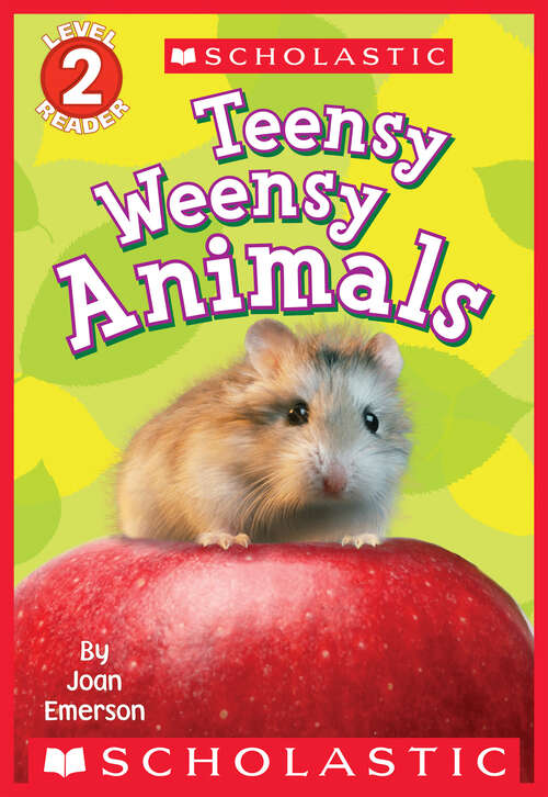 Book cover of Teensy Weensy Animals (Scholastic Reader, Level 2)