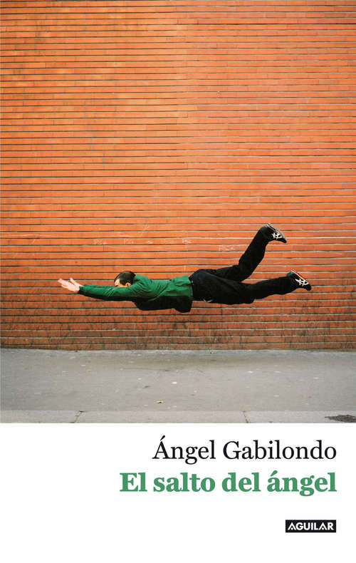 Book cover of El salto del ángel. Palabras para comprendernos