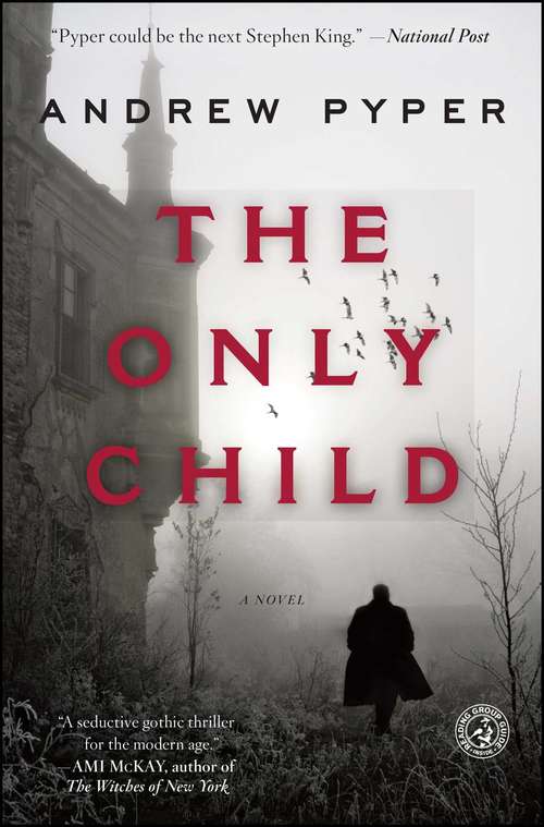 The Only Child: A Novel