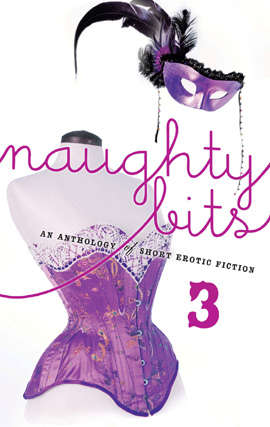 Book cover of Naughty Bits 3