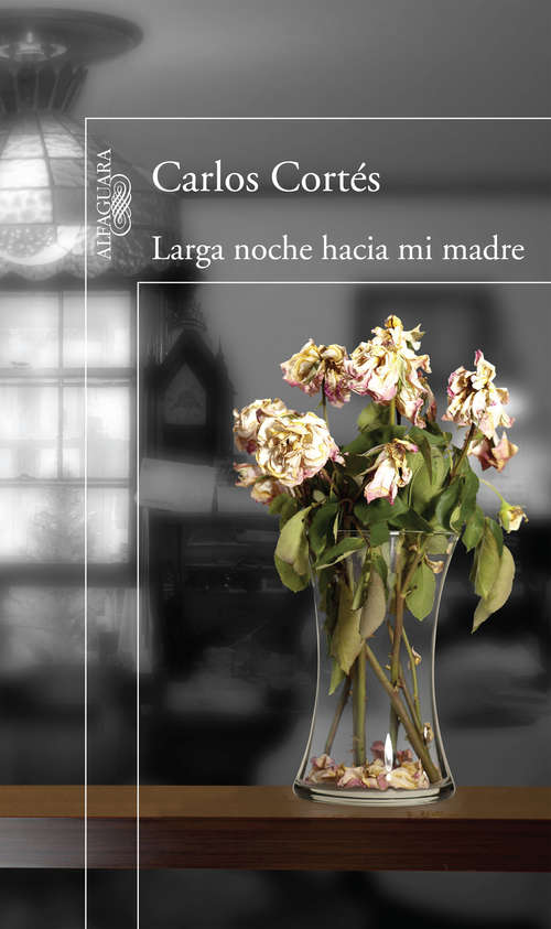 Book cover of Larga noche hacia mi madre