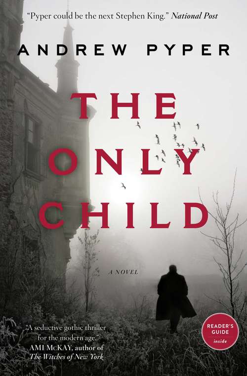 Book cover of The Only Child: A Novel