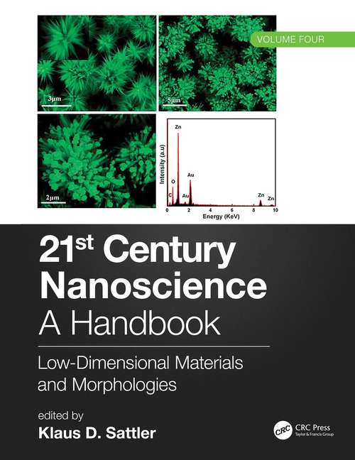 Book cover of 21st Century Nanoscience – A Handbook: Low-Dimensional Materials and Morphologies (Volume Four) (21st Century Nanoscience)