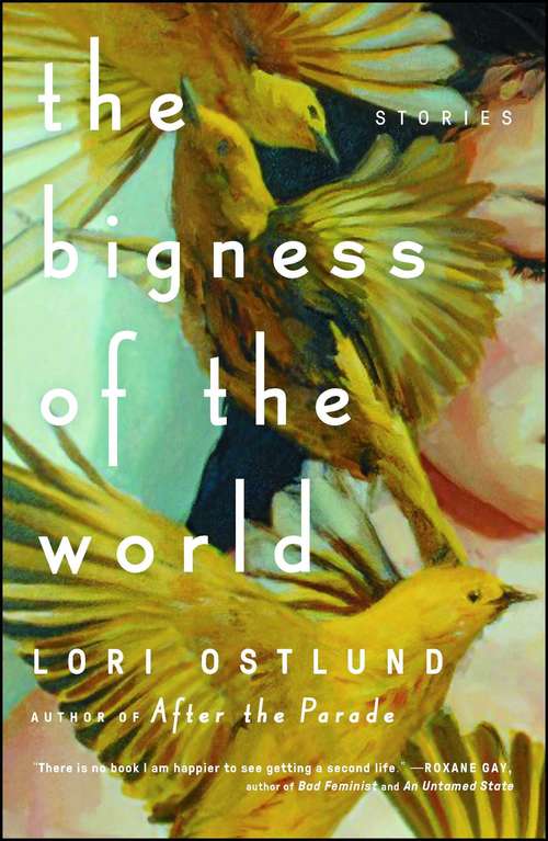 Book cover of The Bigness of the World: Stories
