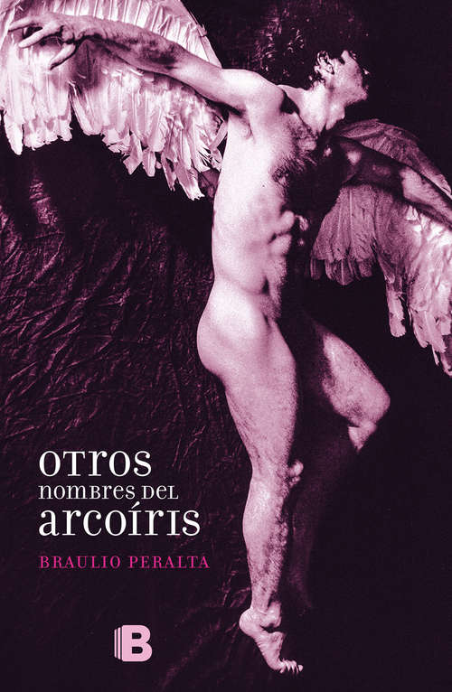 Book cover of Otros nombres del arcoiris: Alegatos contra el machismo