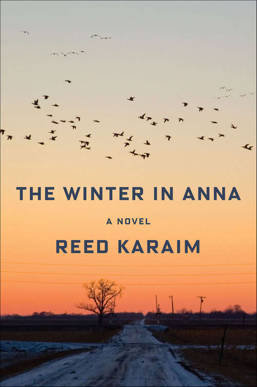 Book cover of The Winter in Anna: A Novel