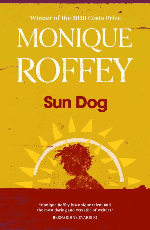Book cover of Sun Dog