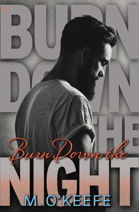 Book cover of Burn Down the Night