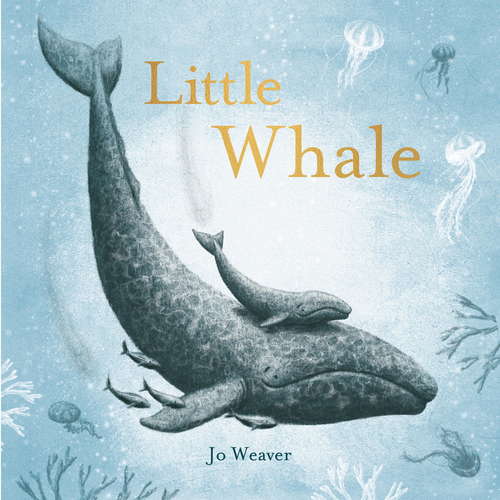 Book cover of Little Whale