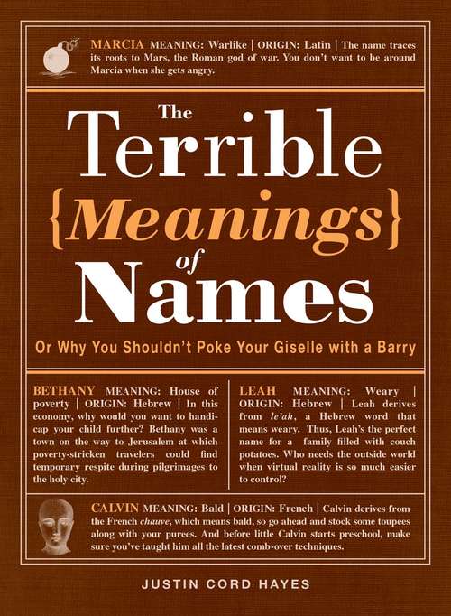 Book cover of The Terrible Meanings of Names: Or Why You Shouldn't Poke Your Giselle with a Barry