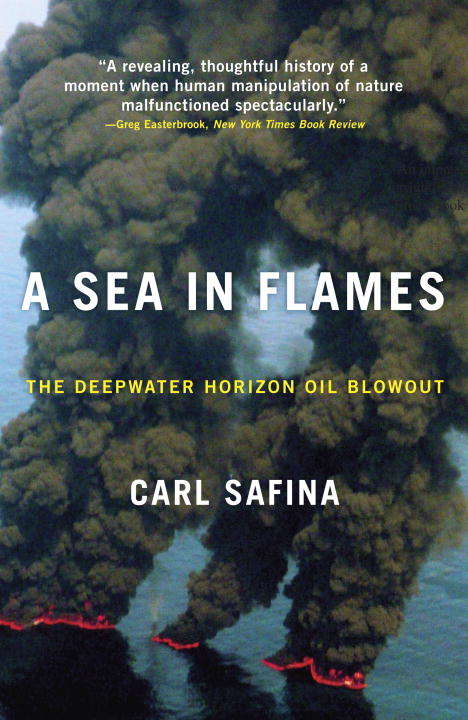 Book cover of A Sea in Flames: The Deepwater Horizon Oil Blowout