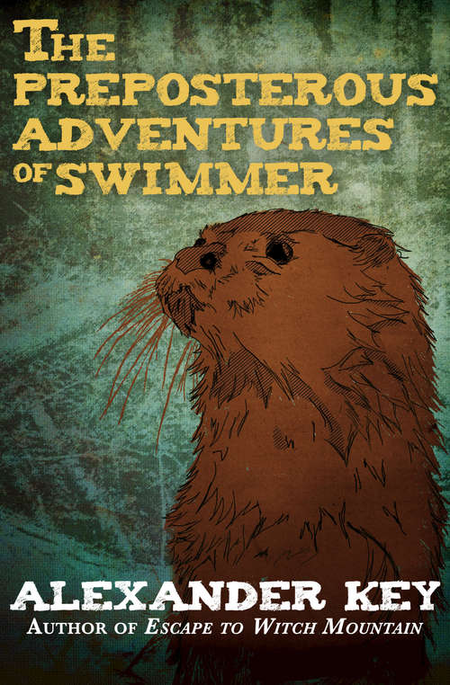 Book cover of The Preposterous Adventures of Swimmer