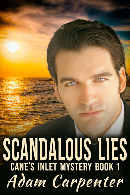 Book cover of Scandalous Lies