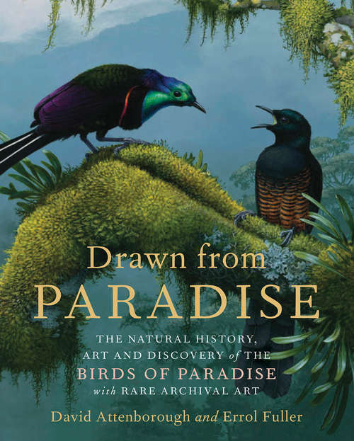 Book cover of Drawn from Paradise