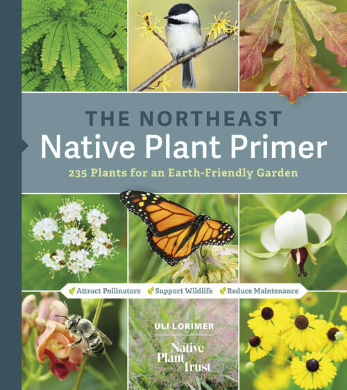 Book cover of The Northeast Native Plant Primer: 235 Plants for an Earth-Friendly Garden
