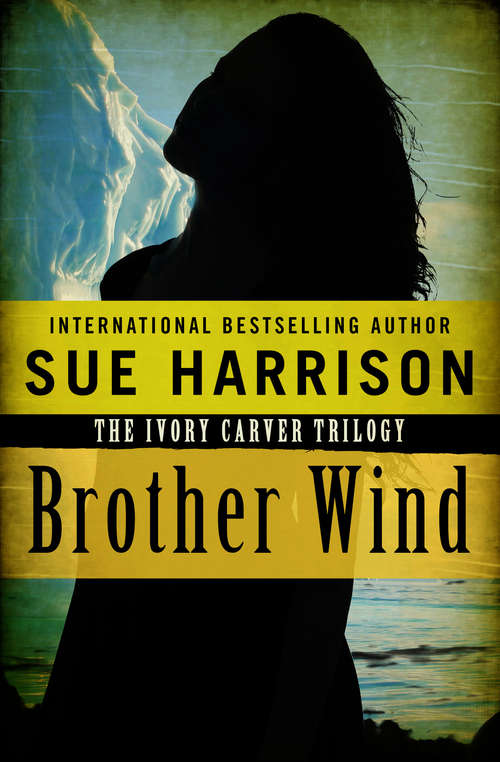 Book cover of Brother Wind