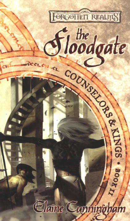 Book cover of The Floodgate