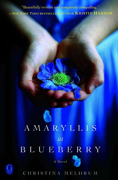 Book cover of Amaryllis in Blueberry