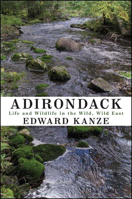 Book cover of Adirondack: Life and Wildlife in the Wild, Wild East (Excelsior Editions)