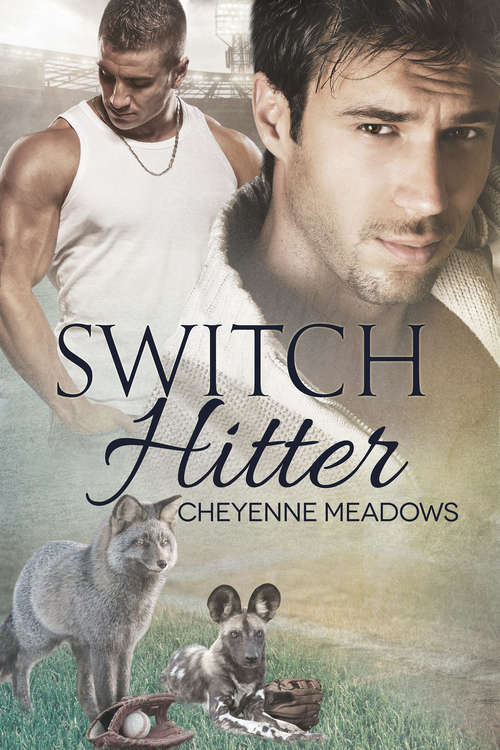 Book cover of Switch Hitter (Shifter Hardball #3)