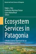Ecosystem Services in Patagonia: A Multi-Criteria Approach for an Integrated Assessment (Natural and Social Sciences of Patagonia)
