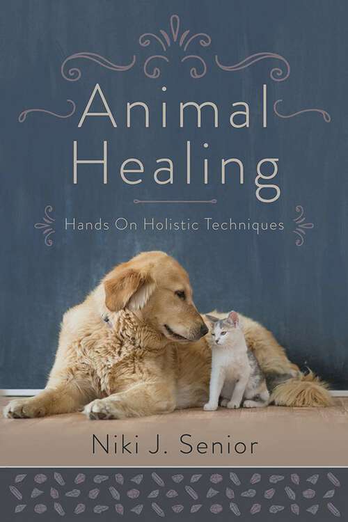 Book cover of Animal Healing: Hands-On Holistic Techniques