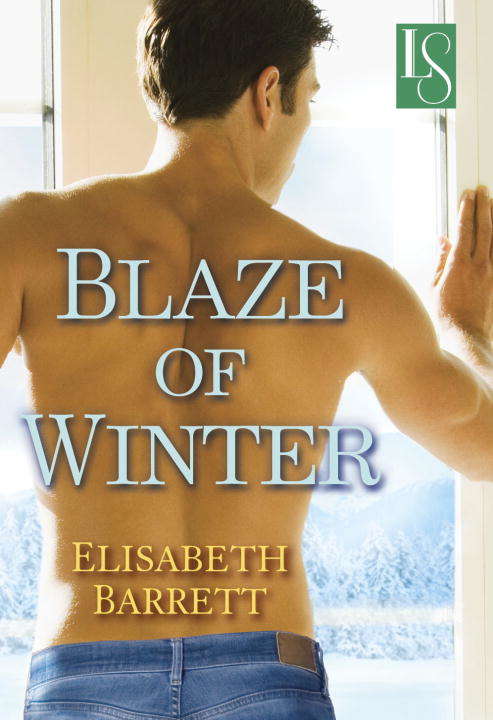 Book cover of Blaze of Winter
