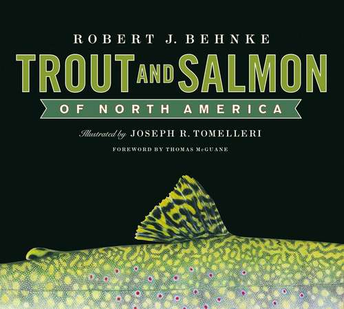 Book cover of Trout and Salmon of North America