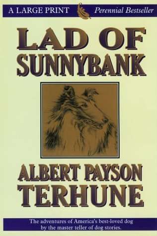 Book cover of Lad of Sunnybank (Perennial Bestsellers Ser.)
