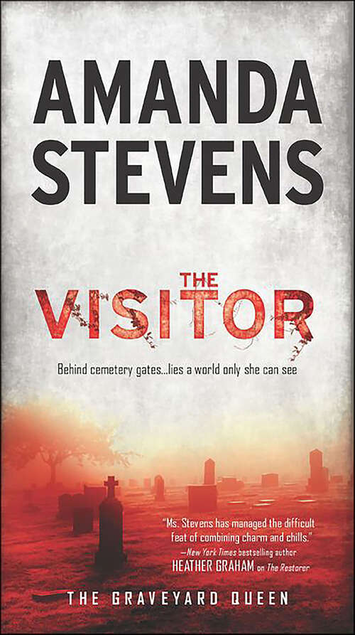 Book cover of The Visitor (The Graveyard Queen #5)