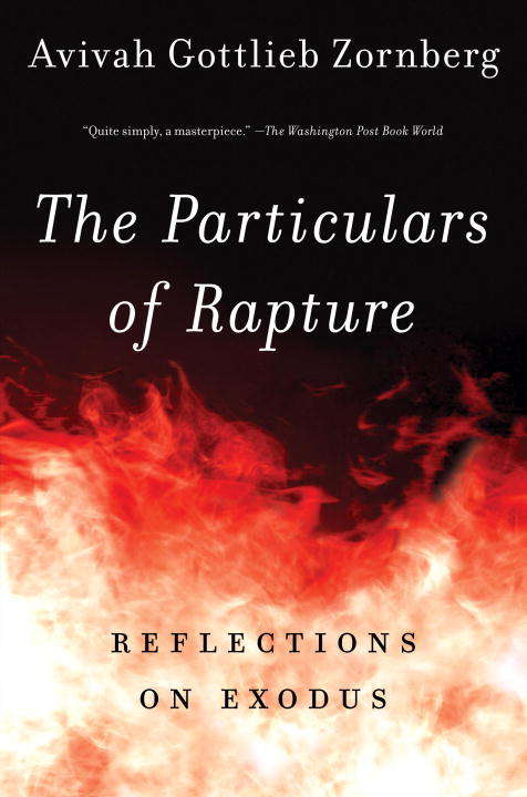 Book cover of The Particulars of Rapture: Reflections on Exodus