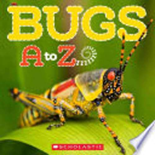 Book cover of Bugs A To Z