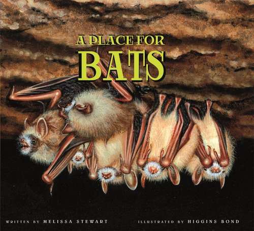 Book cover of A Place For Bats
