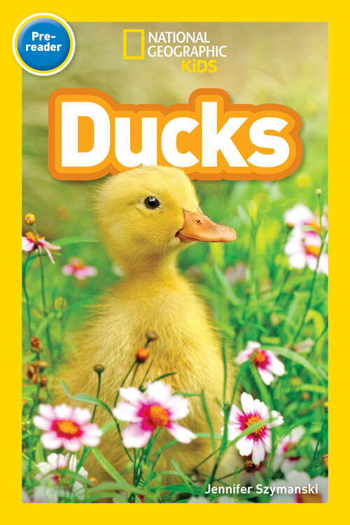 Book cover of Ducks (Readers)