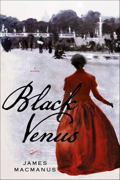 Book cover of Black Venus: A Novel