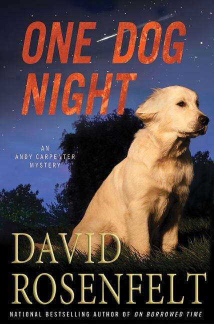 Book cover of One Dog Night (Andy Carpenter Novels)