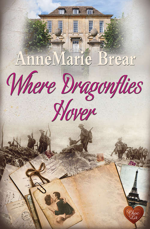 Book cover of Where Dragonflies Hover