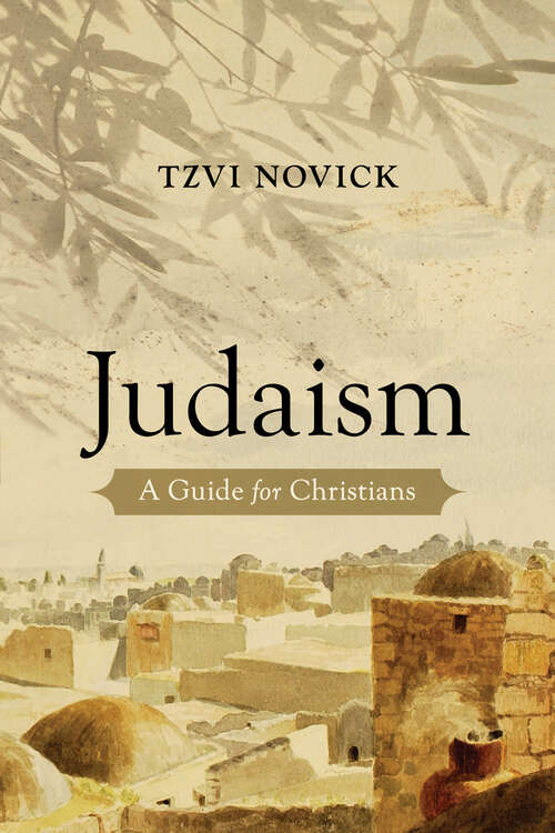 Book cover of Judaism: A Guide for Christians