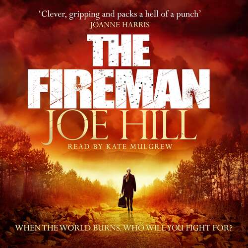 Book cover of The Fireman