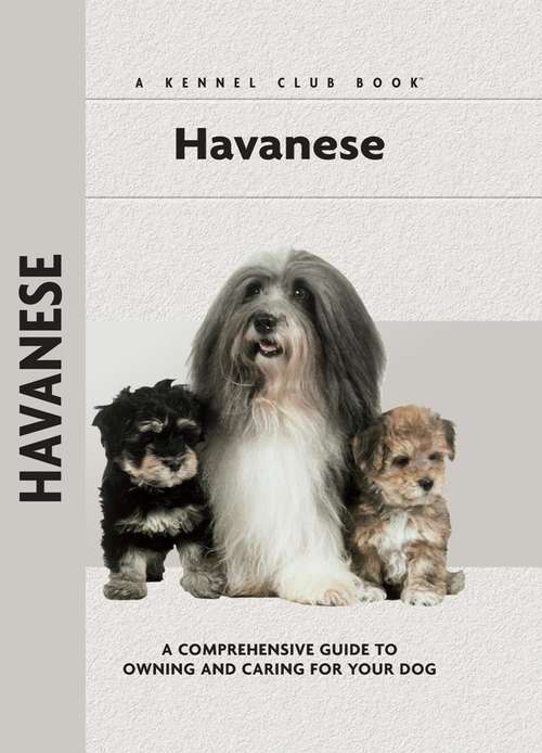 Book cover of Havanese