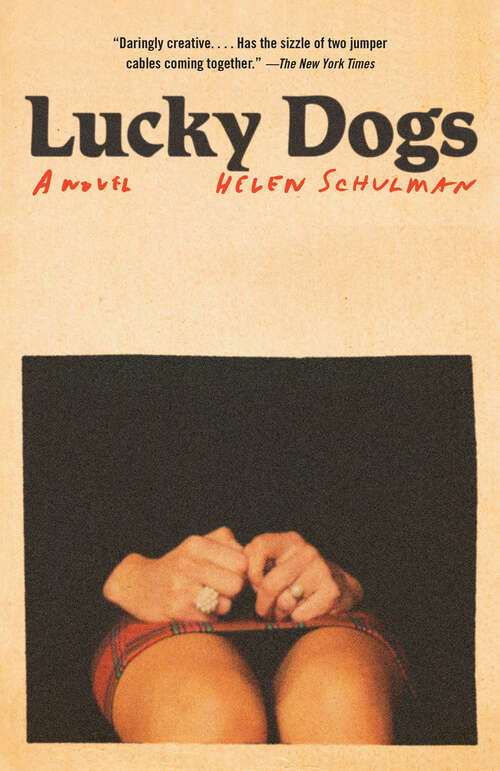 Book cover of Lucky Dogs: A novel