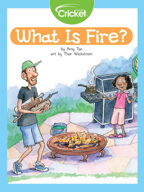 Book cover of What Is Fire?