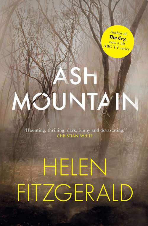 Book cover of Ash Mountain