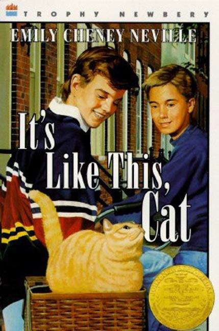 Book cover of It's Like This, Cat