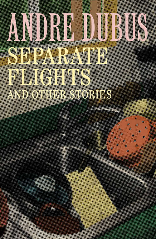 Book cover of Separate Flights