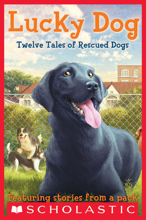Book cover of Lucky Dog: Twelve Tales Of Rescued Dogs