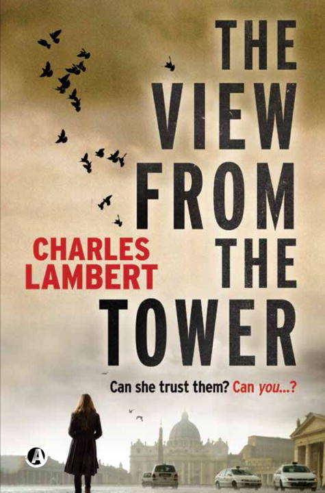 Book cover of The View From The Tower